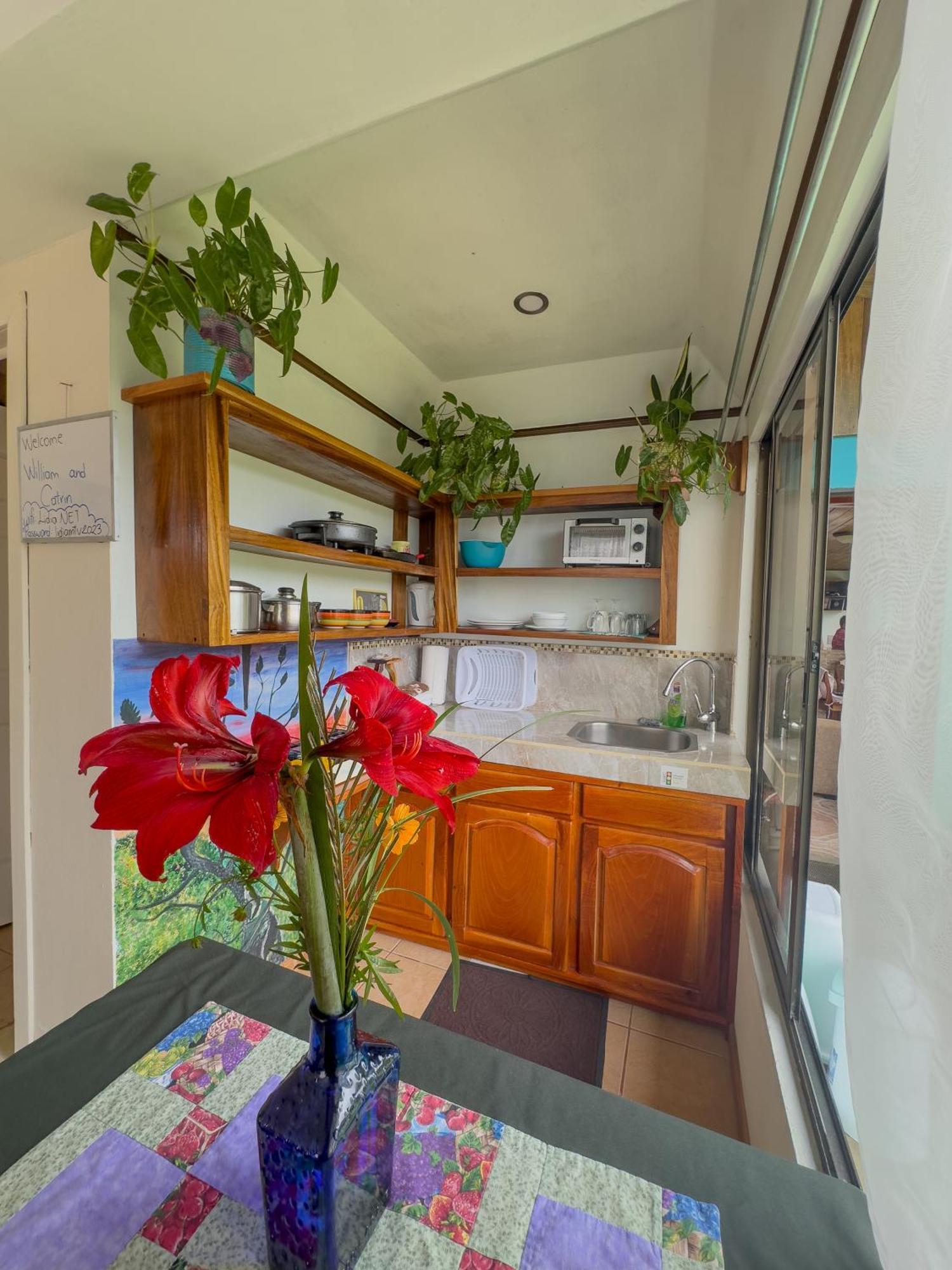 Lidia'S Mountain View Vacation Homes Monteverde Ngoại thất bức ảnh